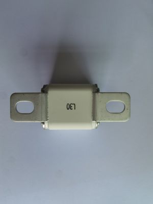 AC2000V/1min EV 車両保護 30A - 450A &gt;3000h 寿命